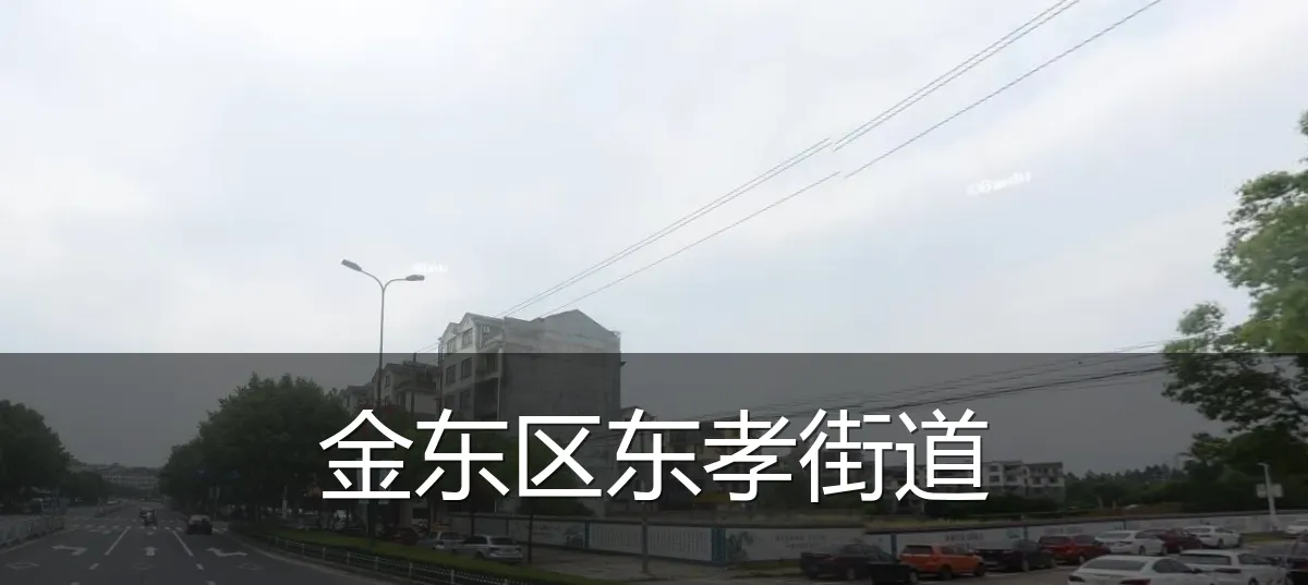 金东区东孝街道