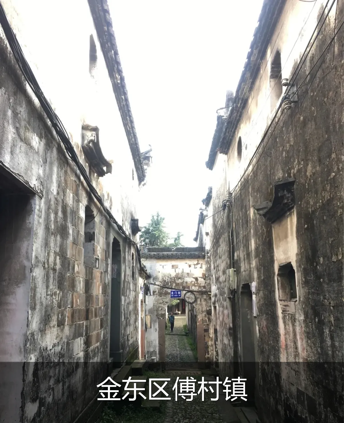 金东区傅村镇