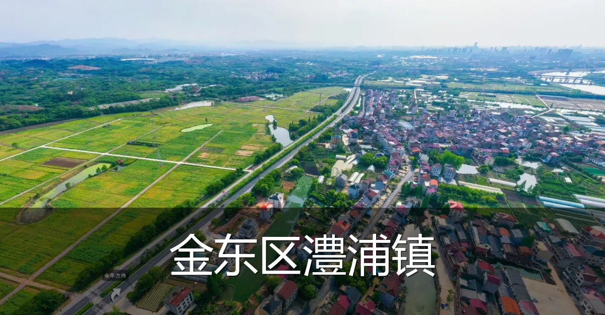 金东区澧浦镇