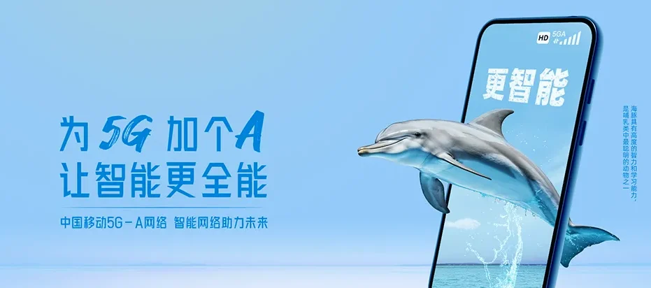 金东区金东区赤松镇 移动宽带